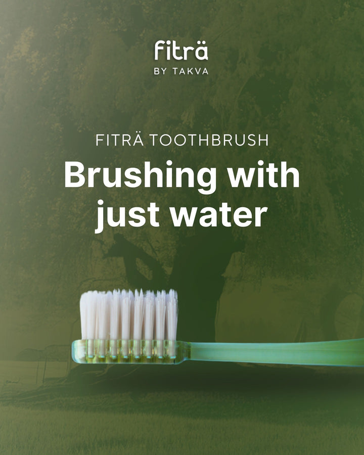 Takva Fitra Miswak Toothbrush