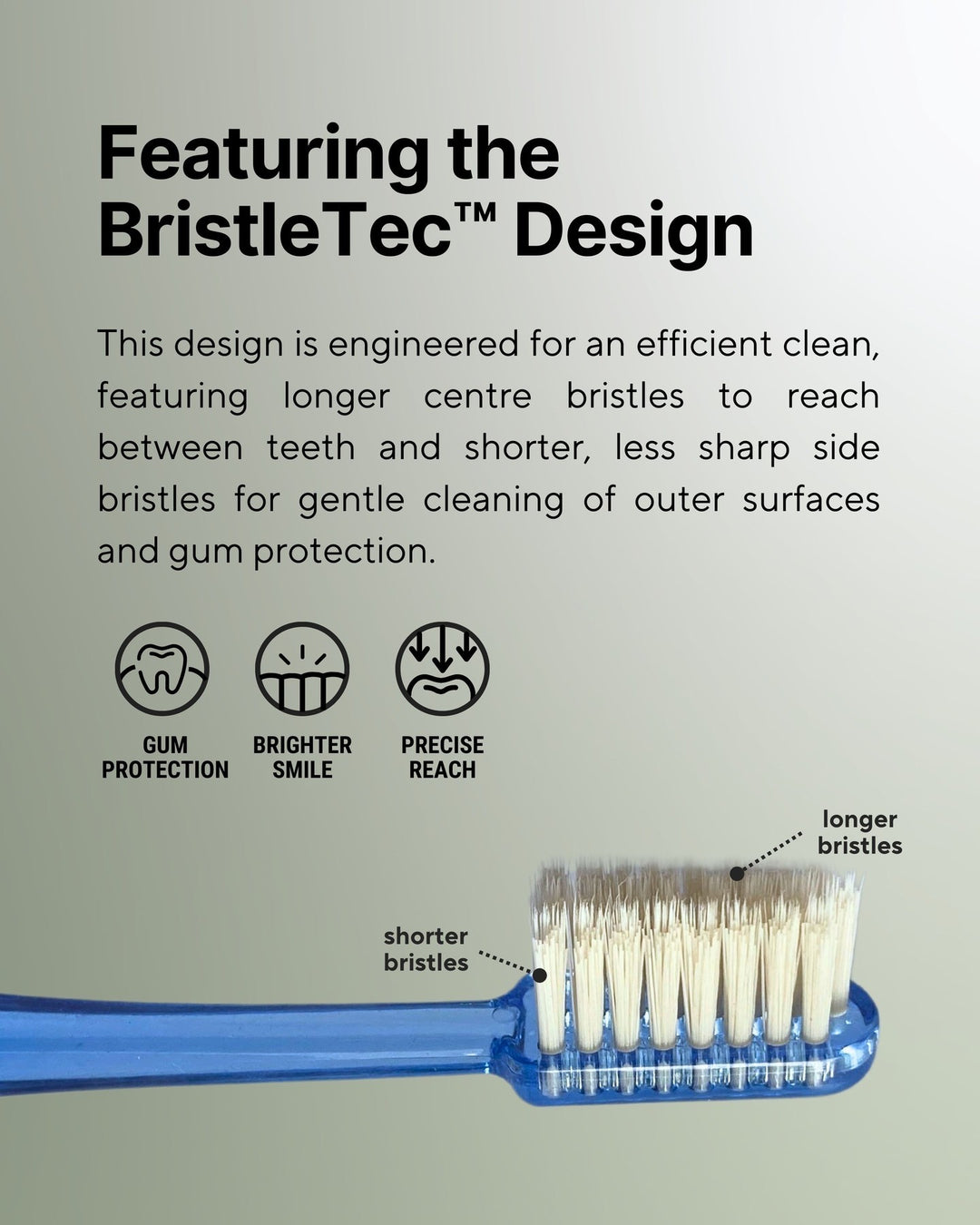 Takva Fitra Miswak Toothbrush