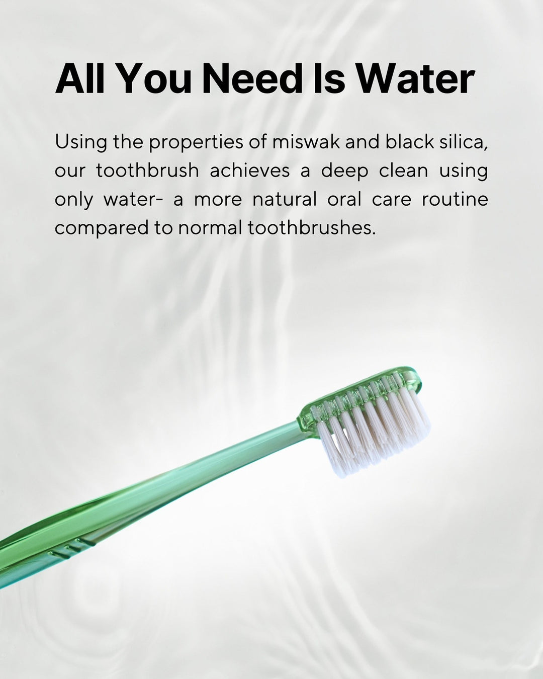 Takva Fitra Miswak Toothbrush